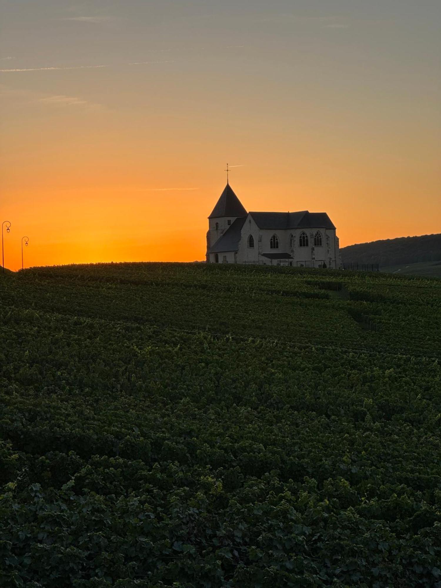 Au Coeur Du Terroir Champenois Villa Chavot-Courcourt Exterior foto